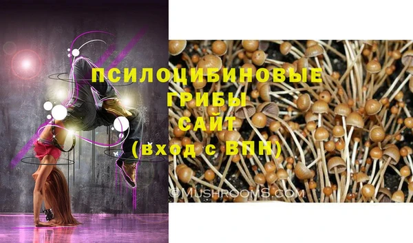 гашишное масло Алексеевка