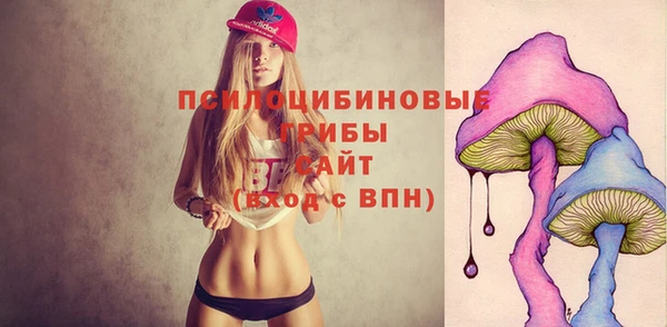 a pvp Алзамай