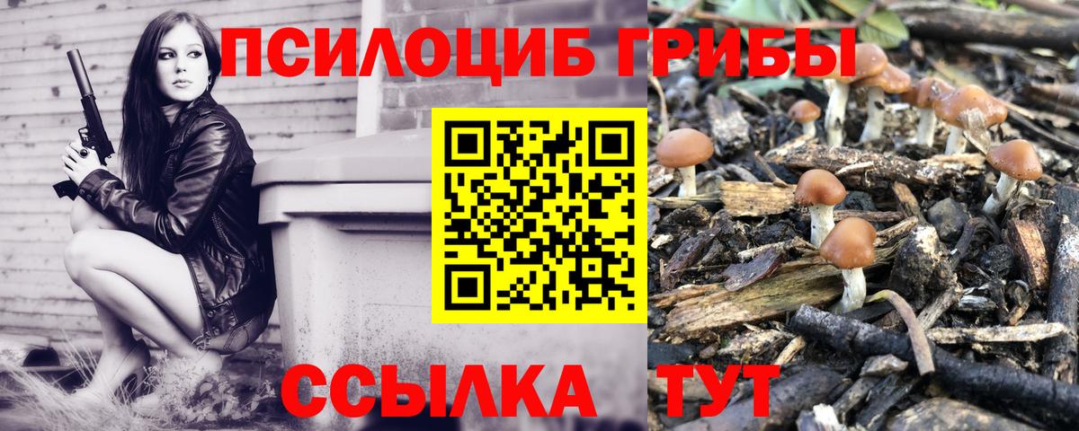 Псилоцибиновые грибы прущие грибы Краснознаменск