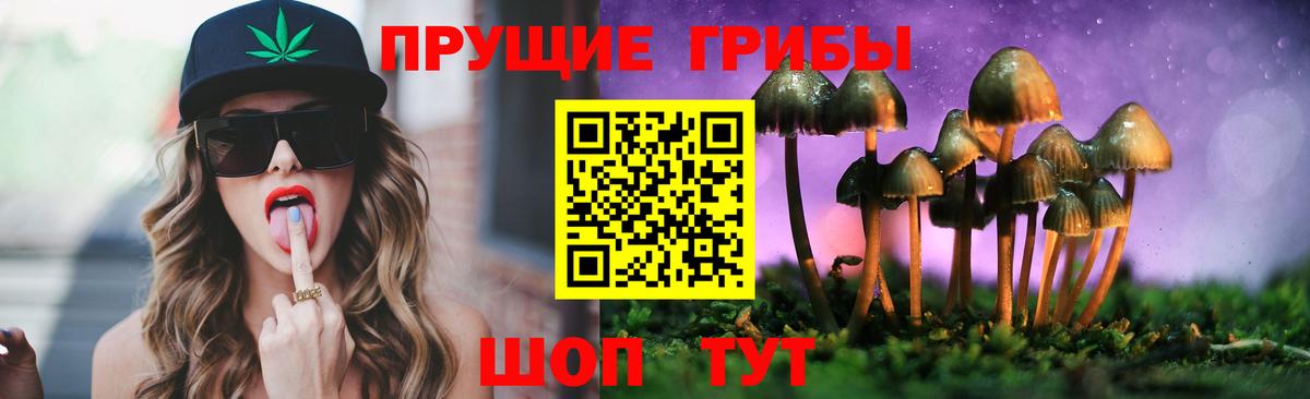 Краснознаменск  сколько стоит  Галлюциногенные грибы ЛСД  Вход с VPN  Галлюциногенные грибы Cubensis 