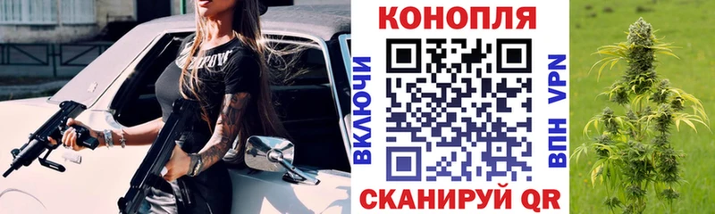 Бошки Шишки семена  blacksprut ссылки  Краснознаменск 